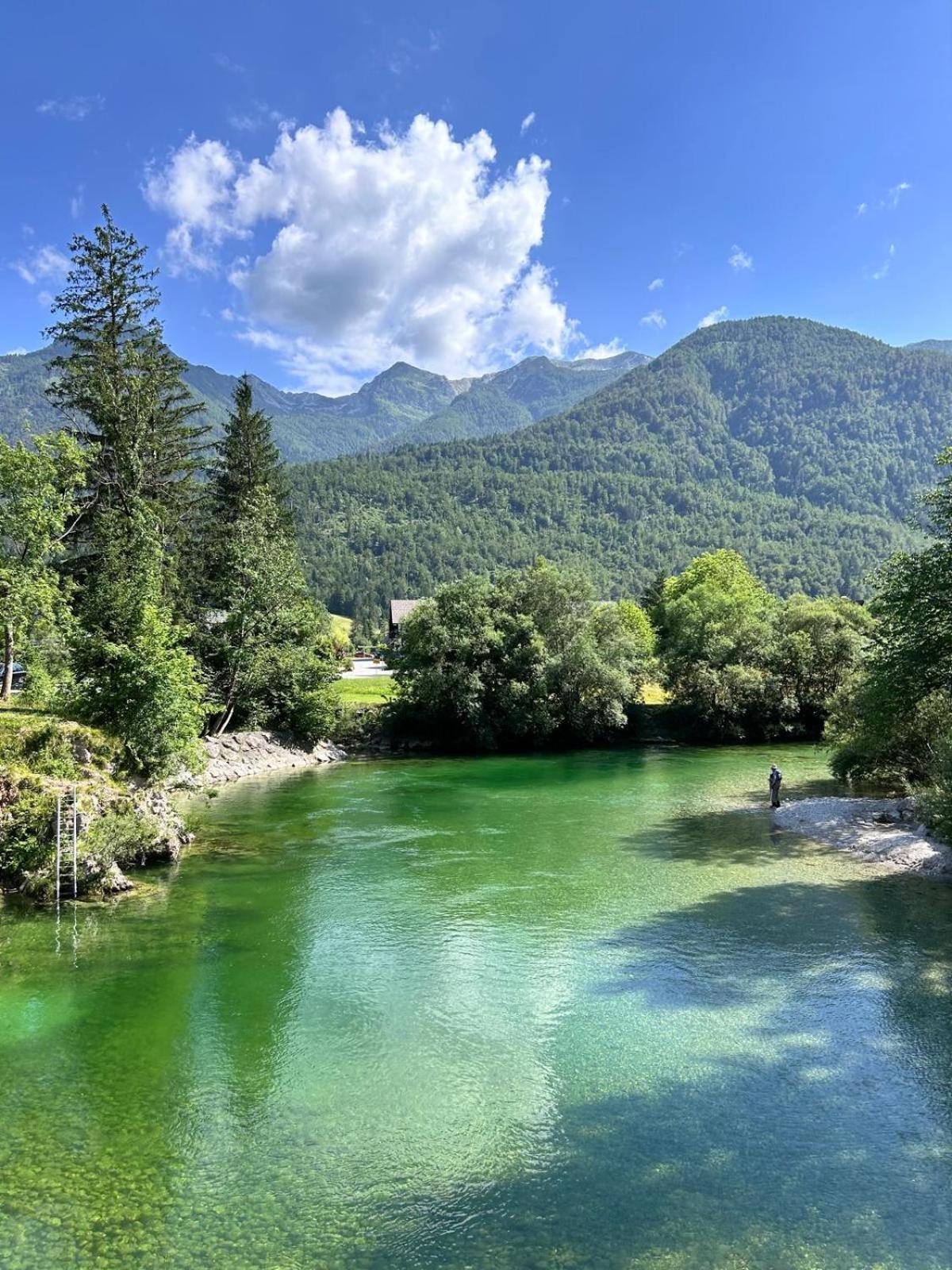 Vila Nina Bohinj Zewnętrze zdjęcie